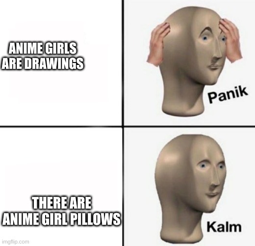 panik kalm | ANIME GIRLS ARE DRAWINGS THERE ARE ANIME GIRL PILLOWS | image tagged in panik kalm | made w/ Imgflip meme maker