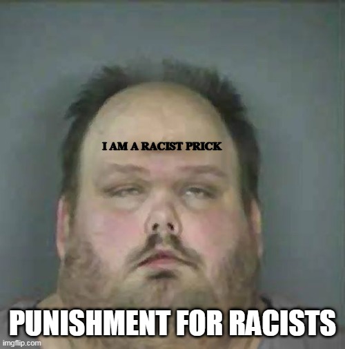 Punishment For Racists | I AM A RACIST PRICK; PUNISHMENT FOR RACISTS | image tagged in johnny racist,racist,punishment | made w/ Imgflip meme maker