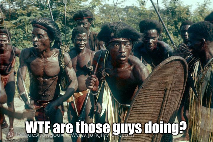 Congo Tribe | WTF are those guys doing? | image tagged in congo tribe | made w/ Imgflip meme maker