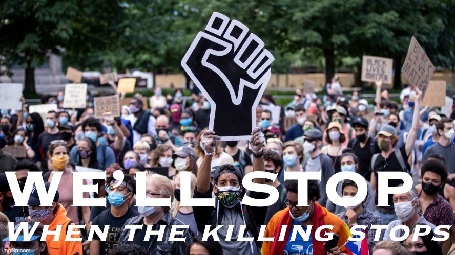 BLM protest | WE’LL STOP When the killing stops | image tagged in blm protest | made w/ Imgflip meme maker