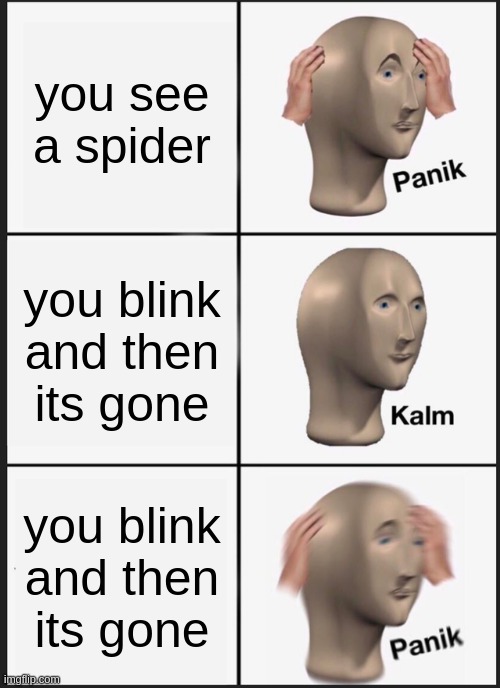 Panik Kalm Panik | you see a spider; you blink and then its gone; you blink and then its gone | image tagged in memes,panik kalm panik | made w/ Imgflip meme maker