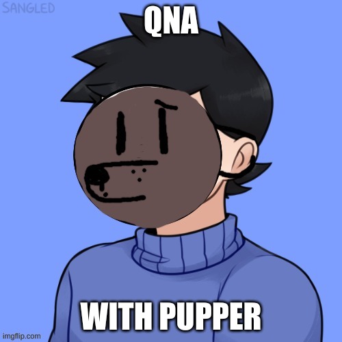 Human Pupper | QNA; WITH PUPPER | image tagged in human pupper | made w/ Imgflip meme maker