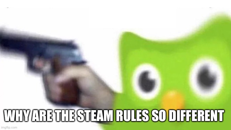 duolingo gun | WHY ARE THE STEAM RULES SO DIFFERENT | image tagged in duolingo gun | made w/ Imgflip meme maker