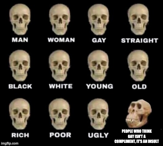 idiot skull | PEOPLE WHO THINK GAY ISN'T A COMPLIMENT, IT'S AN INSULT | image tagged in idiot skull | made w/ Imgflip meme maker