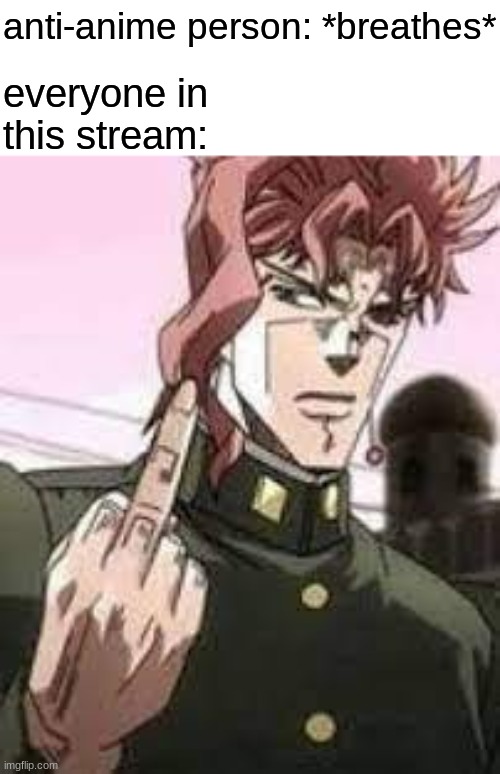 look the opportunity presented it's self and naturally i took it | everyone in this stream:; anti-anime person: *breathes* | image tagged in kakyoin flipping you off | made w/ Imgflip meme maker