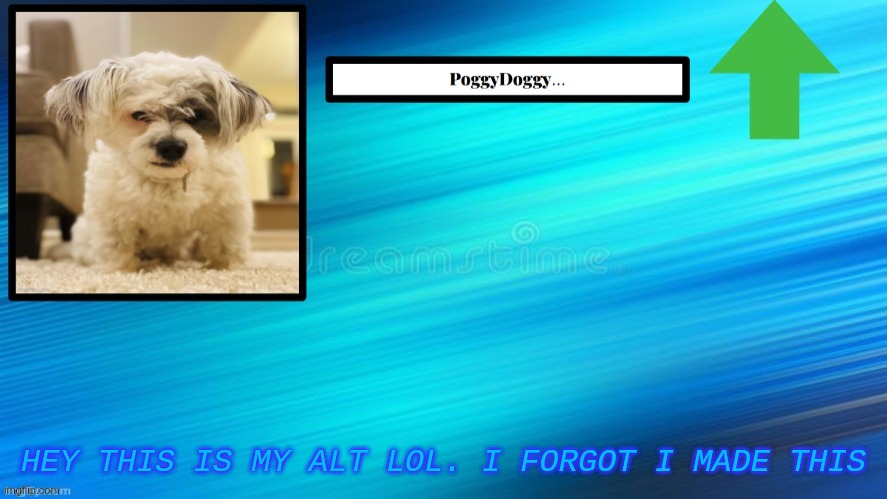 HEY THIS IS MY ALT LOL. I FORGOT I MADE THIS | image tagged in poggydoggy temp | made w/ Imgflip meme maker