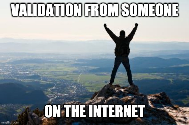 Shout It from the Mountain Tops | VALIDATION FROM SOMEONE ON THE INTERNET | image tagged in shout it from the mountain tops | made w/ Imgflip meme maker