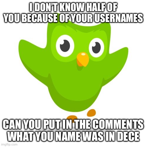 things duolingo teaches you | I DON’T KNOW HALF OF YOU BECAUSE OF YOUR USERNAMES; CAN YOU PUT IN THE COMMENTS WHAT YOU NAME WAS IN DECEMBER | image tagged in things duolingo teaches you | made w/ Imgflip meme maker