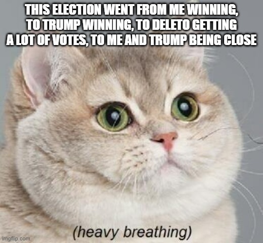 140+ are in voting. Vote Wubbzymon to save us all | THIS ELECTION WENT FROM ME WINNING, TO TRUMP WINNING, TO DELETO GETTING A LOT OF VOTES, TO ME AND TRUMP BEING CLOSE | image tagged in memes,heavy breathing cat | made w/ Imgflip meme maker