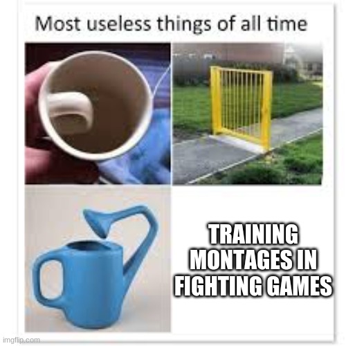 I swear your character just stays the EXACT same even with training... |  TRAINING MONTAGES IN FIGHTING GAMES | image tagged in most useless things | made w/ Imgflip meme maker