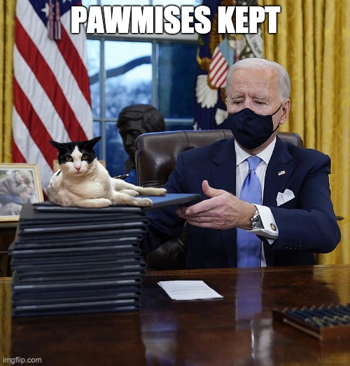 PAWMISES KEPT |  PAWMISES KEPT | image tagged in cats,first cat,fcotus,first pets,biden,white house | made w/ Imgflip meme maker