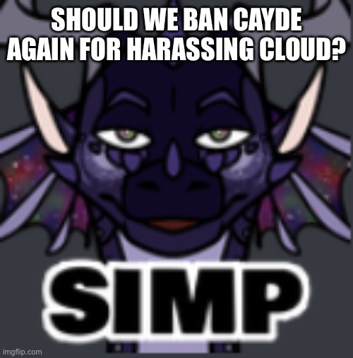 Peacemaker simp | SHOULD WE BAN CAYDE AGAIN FOR HARASSING CLOUD? | image tagged in peacemaker simp | made w/ Imgflip meme maker