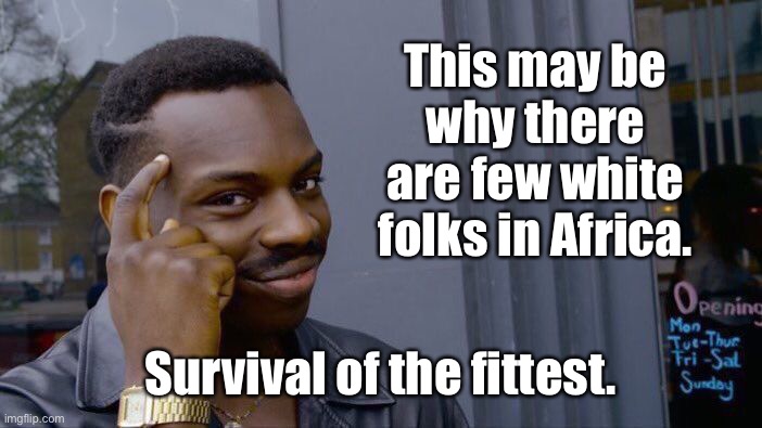Roll Safe Think About It Meme | This may be why there are few white folks in Africa. Survival of the fittest. | image tagged in memes,roll safe think about it | made w/ Imgflip meme maker
