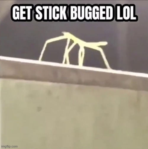 image tagged in get stick bugged lol | made w/ Imgflip meme maker