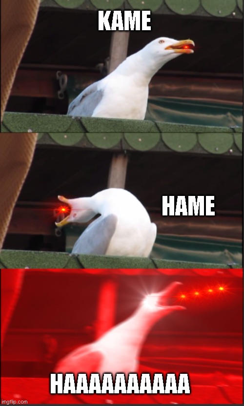 cheesy toes | KAME; HAME; HAAAAAAAAAA | image tagged in inhaling seagull,kame hame ha,anime,oh wow doughnuts,oh wow are you actually reading these tags | made w/ Imgflip meme maker