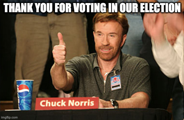 Chuck Norris Approves Meme | THANK YOU FOR VOTING IN OUR ELECTION | image tagged in memes,chuck norris approves,chuck norris | made w/ Imgflip meme maker