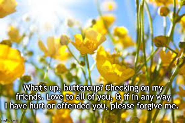 What's up, buttercup? Checking on my friends. Love to all of you, & if in any way I have hurt or offended you, please forgive me. | image tagged in apology | made w/ Imgflip meme maker