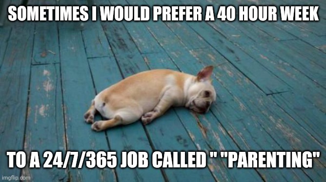 My best job ever has also been my most difficult but I wouldn't give it up for the world :) | SOMETIMES I WOULD PREFER A 40 HOUR WEEK; TO A 24/7/365 JOB CALLED " "PARENTING" | image tagged in tired dog | made w/ Imgflip meme maker