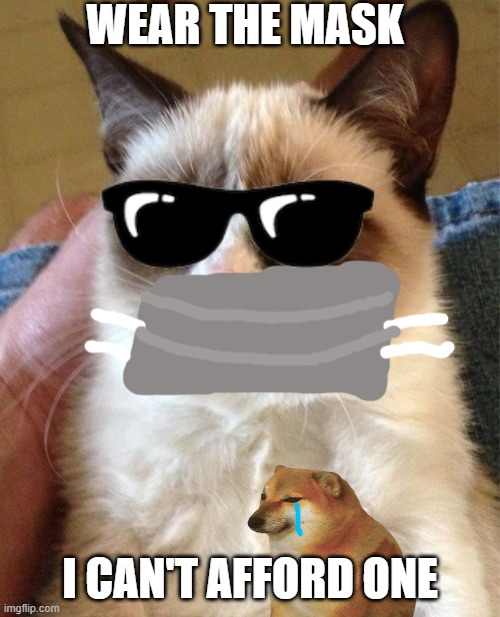 Grumpy Cat Meme | WEAR THE MASK; I CAN'T AFFORD ONE | image tagged in memes,grumpy cat | made w/ Imgflip meme maker