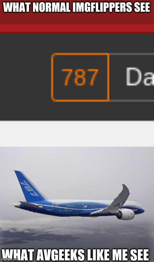 Boeing 787 | WHAT NORMAL IMGFLIPPERS SEE; WHAT AVGEEKS LIKE ME SEE | image tagged in boeing 787,aviation,airplane,plane,planes,airplanes | made w/ Imgflip meme maker
