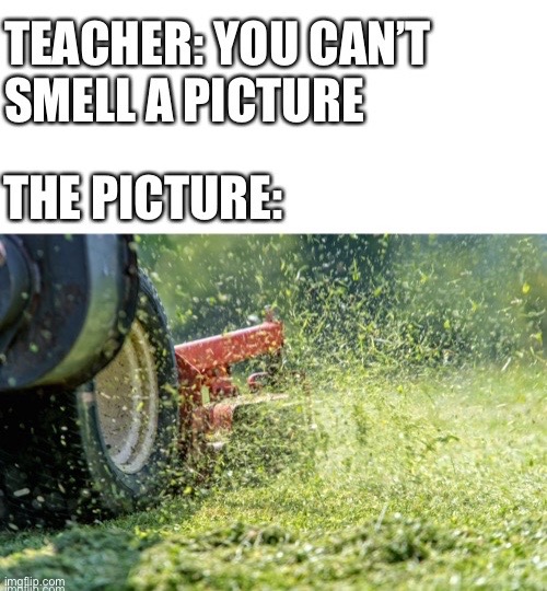 Smell That Smell | image tagged in memes,funny memes,smell,grass,cut grass,lawn | made w/ Imgflip meme maker