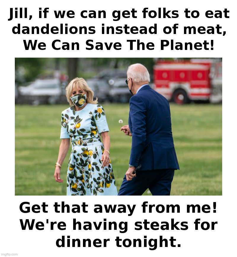 Joe Biden: We Can Save The Planet! | image tagged in joe biden,dandelion,save the planet,steak dinner | made w/ Imgflip meme maker