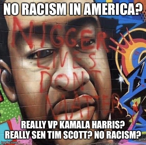 blm |  NO RACISM IN AMERICA? REALLY VP KAMALA HARRIS? REALLY SEN TIM SCOTT? NO RACISM? | image tagged in blm | made w/ Imgflip meme maker