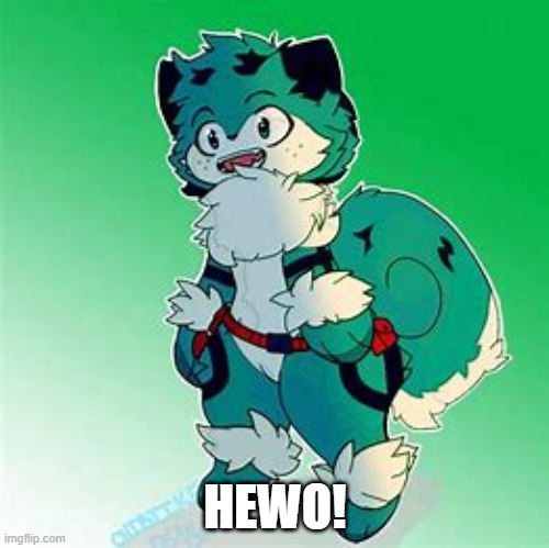 Furry deku2 | HEWO! | image tagged in furry deku2 | made w/ Imgflip meme maker