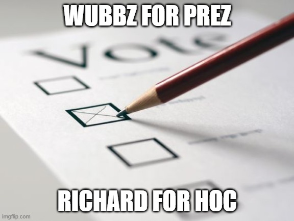voting | WUBBZ FOR PREZ; RICHARD FOR HOC | image tagged in voting ballot | made w/ Imgflip meme maker