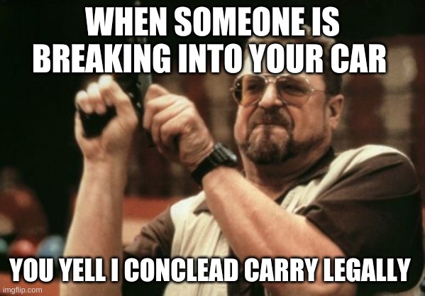 Am I The Only One Around Here | WHEN SOMEONE IS BREAKING INTO YOUR CAR; YOU YELL I CONCLEAD CARRY LEGALLY | image tagged in memes,am i the only one around here | made w/ Imgflip meme maker