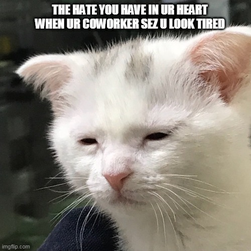 I'm awake, but at what cost? | THE HATE YOU HAVE IN UR HEART WHEN UR COWORKER SEZ U LOOK TIRED | image tagged in i'm awake but at what cost | made w/ Imgflip meme maker