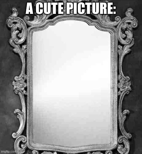Mirror | A CUTE PICTURE: | image tagged in mirror | made w/ Imgflip meme maker