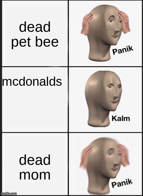 hhahahaa | dead pet bee; mcdonalds; dead mom | image tagged in memes,panik kalm panik | made w/ Imgflip meme maker