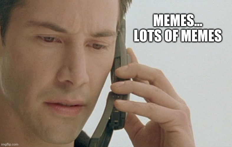 Memes... Lots of Memes | MEMES... LOTS OF MEMES | image tagged in memes,funny memes | made w/ Imgflip meme maker