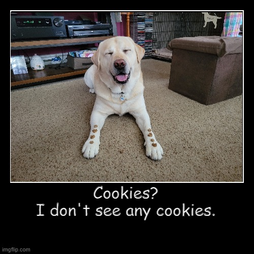 Cookies? | image tagged in funny,demotivationals | made w/ Imgflip demotivational maker