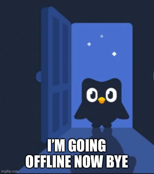 Duolingo bird | I’M GOING OFFLINE NOW BYE | image tagged in duolingo bird | made w/ Imgflip meme maker