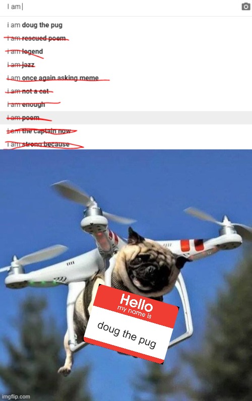 I am Doug the Pug | doug the pug | image tagged in flying pug,memes,doug | made w/ Imgflip meme maker