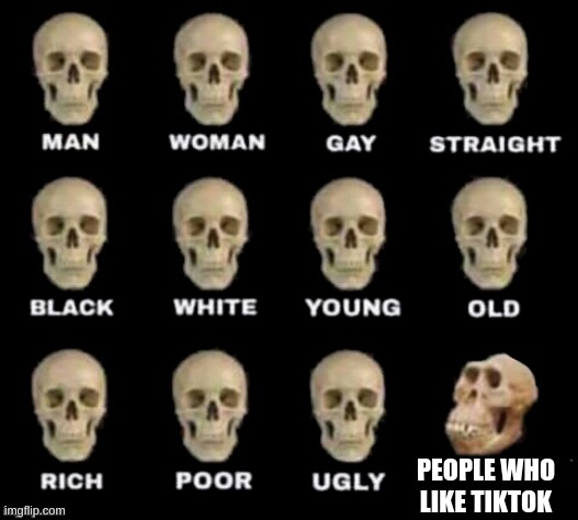 idiot skull | PEOPLE WHO LIKE TIKTOK | image tagged in idiot skull | made w/ Imgflip meme maker