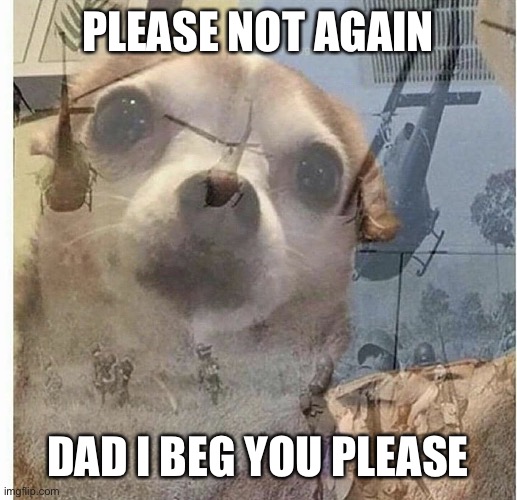 PTSD Chihuahua | PLEASE NOT AGAIN DAD I BEG YOU PLEASE | image tagged in ptsd chihuahua | made w/ Imgflip meme maker