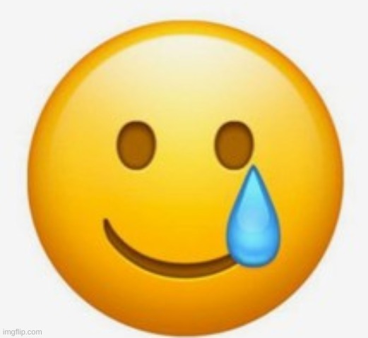 smile-crying emoji | image tagged in smile-crying emoji | made w/ Imgflip meme maker
