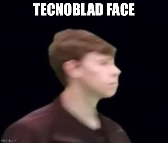 Tecnoblad face | TECNOBLAD FACE | image tagged in tecnoblad | made w/ Imgflip meme maker