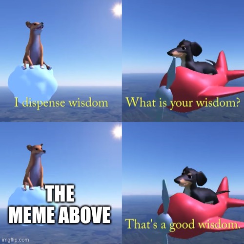 That's a good wisdom | THE MEME ABOVE | image tagged in that's a good wisdom | made w/ Imgflip meme maker