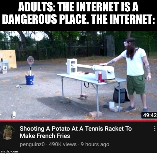 What? | ADULTS: THE INTERNET IS A DANGEROUS PLACE. THE INTERNET: | image tagged in potato,wtf,ok | made w/ Imgflip meme maker