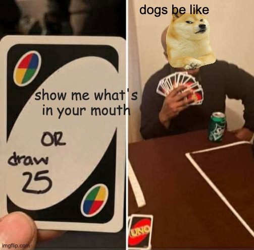 UNO Draw 25 Cards Meme | dogs be like; show me what's in your mouth | image tagged in memes,uno draw 25 cards | made w/ Imgflip meme maker
