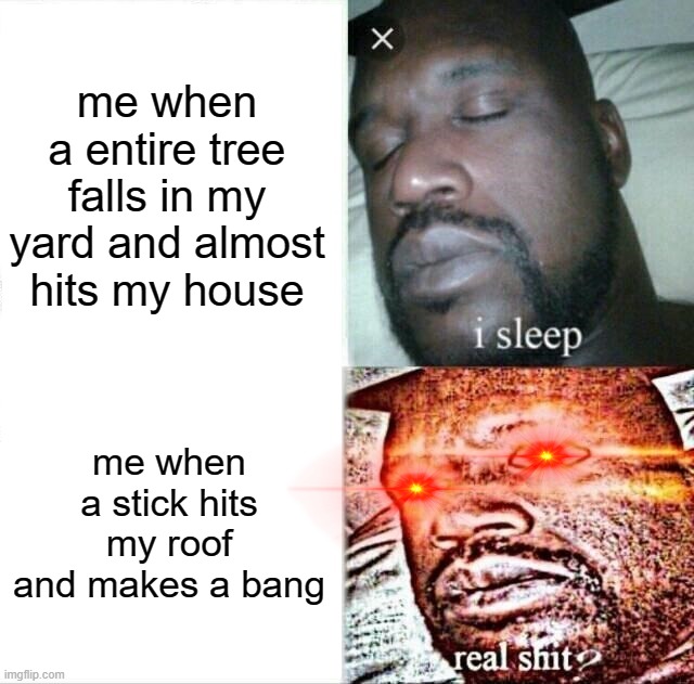Sleeping Shaq | me when a entire tree falls in my yard and almost hits my house; me when a stick hits my roof and makes a bang | image tagged in memes,sleeping shaq | made w/ Imgflip meme maker
