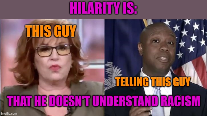 Another plantation supervisor tells  a Black Man his thoughts about his own experiences are wrong | HILARITY IS:; THIS GUY; TELLING THIS GUY; THAT HE DOESN'T UNDERSTAND RACISM | image tagged in joy behar,tim scott,racism,the view | made w/ Imgflip meme maker