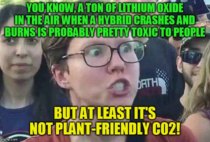 Triggered Liberal | YOU KNOW, A TON OF LITHIUM OXIDE IN THE AIR WHEN A HYBRID CRASHES AND BURNS IS PROBABLY PRETTY TOXIC TO PEOPLE BUT AT LEAST IT'S NOT PLANT-F | image tagged in triggered liberal | made w/ Imgflip meme maker