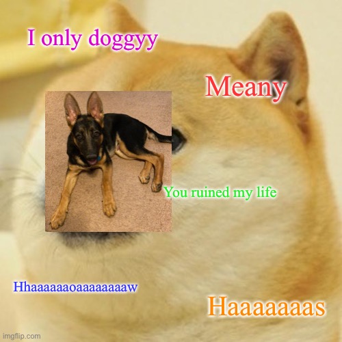 Doge | I only doggyy; Meany; You ruined my life; Hhaaaaaaoaaaaaaaaw; Haaaaaaas | image tagged in memes,doge | made w/ Imgflip meme maker