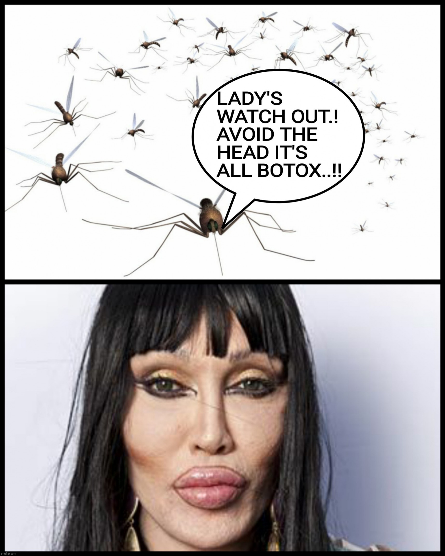 LADY'S  WATCH OUT.!  AVOID THE  HEAD IT'S  ALL BOTOX..!! | image tagged in botox,mosquitoes,bite,blood,watch out,memes | made w/ Imgflip meme maker