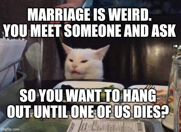 Salad cat | MARRIAGE IS WEIRD. YOU MEET SOMEONE AND ASK; J M; SO YOU WANT TO HANG OUT UNTIL ONE OF US DIES? | image tagged in salad cat | made w/ Imgflip meme maker